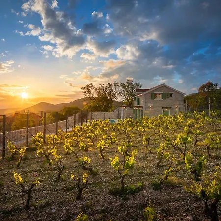 Cavalleria Rusticana With Heated Pool And Vineyard Villa Blizna Donja
