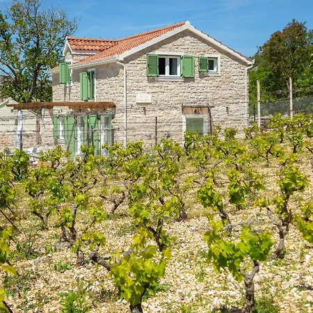 Villa Cavalleria Rusticana With Heated Pool And Vineyard Blizna Donja