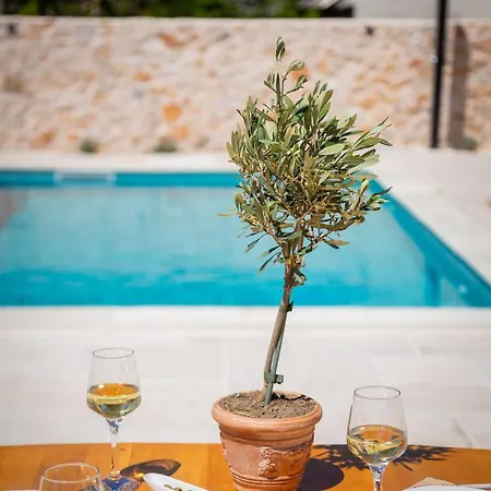 Cavalleria Rusticana With Heated Pool And Vineyard * Blizna Donja